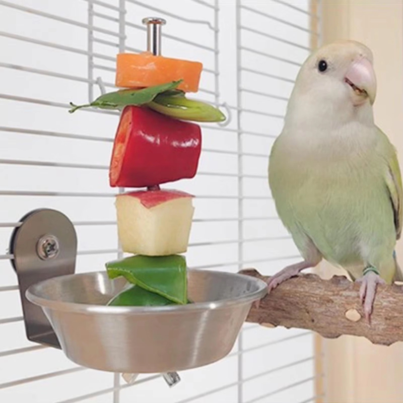 Bird Cage Parrot - Bird Cage Feeder StainlessSteel Treat Holder