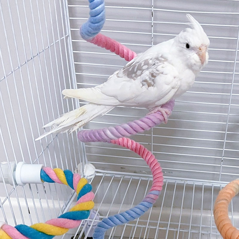 Bird Cage Parrot - Bird Cage Accessories Climbing Rope Parrot