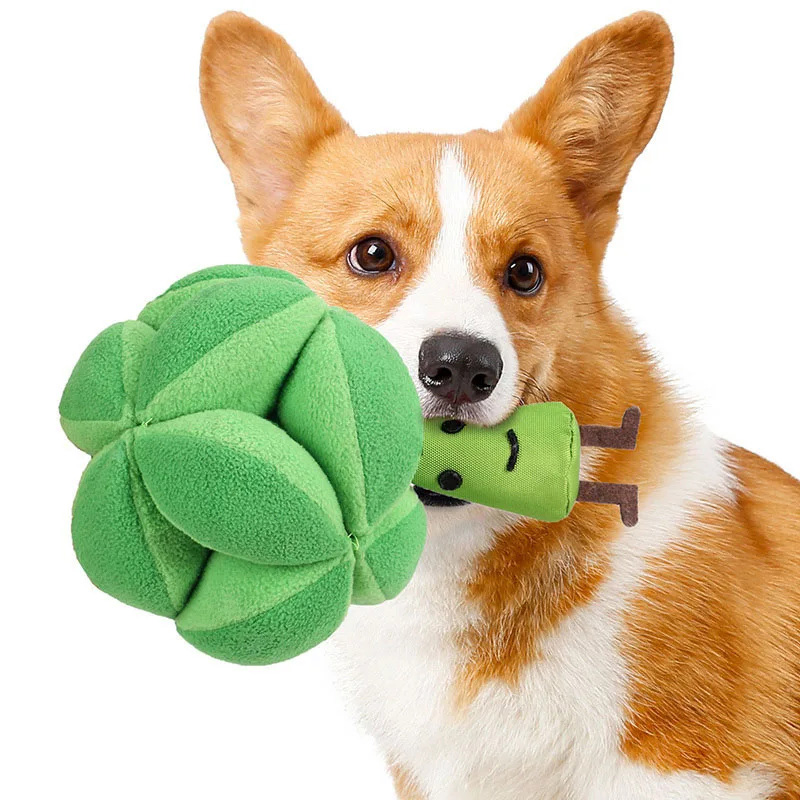 Dog Treat Puzzle Toy - Snuffle Broccoli Dog Puzzle Toys Increase