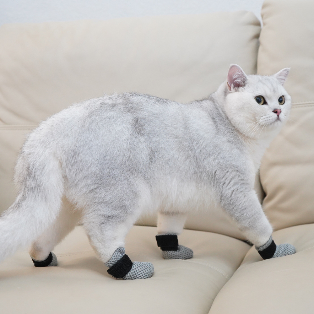Pet Supplies Co - Pet supplies, cat and dog foot
