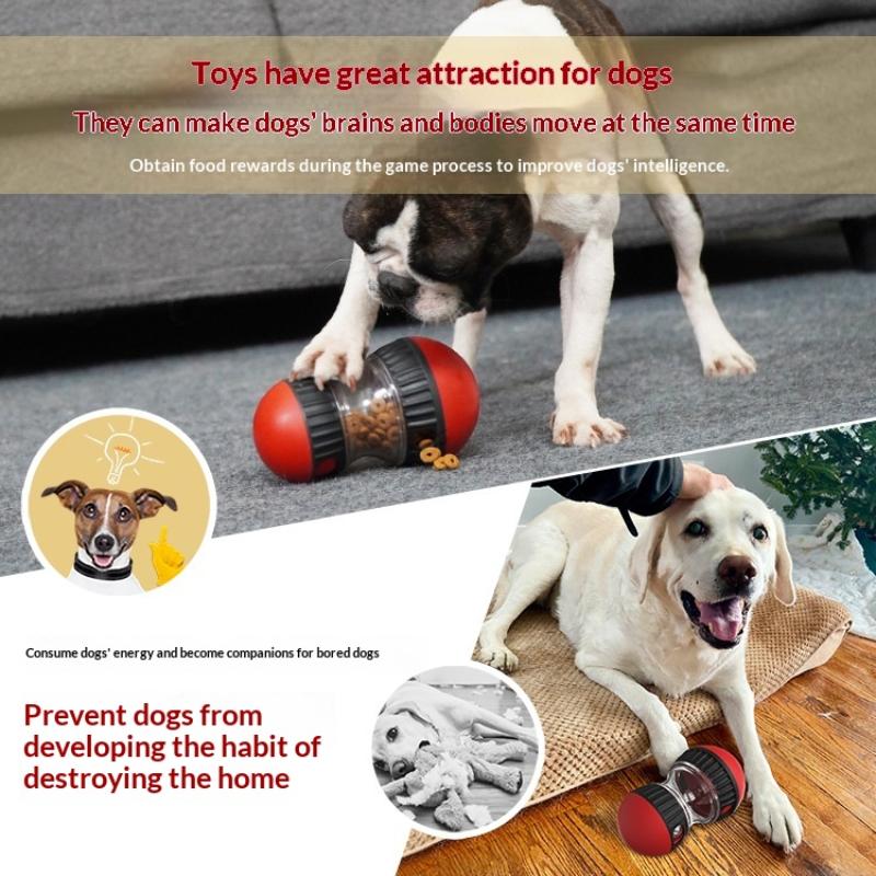 C Dog Puzzle Toy Elliptical Tr - مراجعة Dog Treat Puzzle Toy وسعره