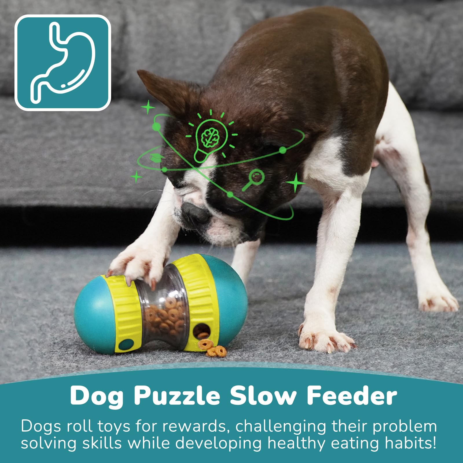 Dog Toys & Adjustable Slow Fee - مراجعة Dog Treat Puzzle Toy وسعره