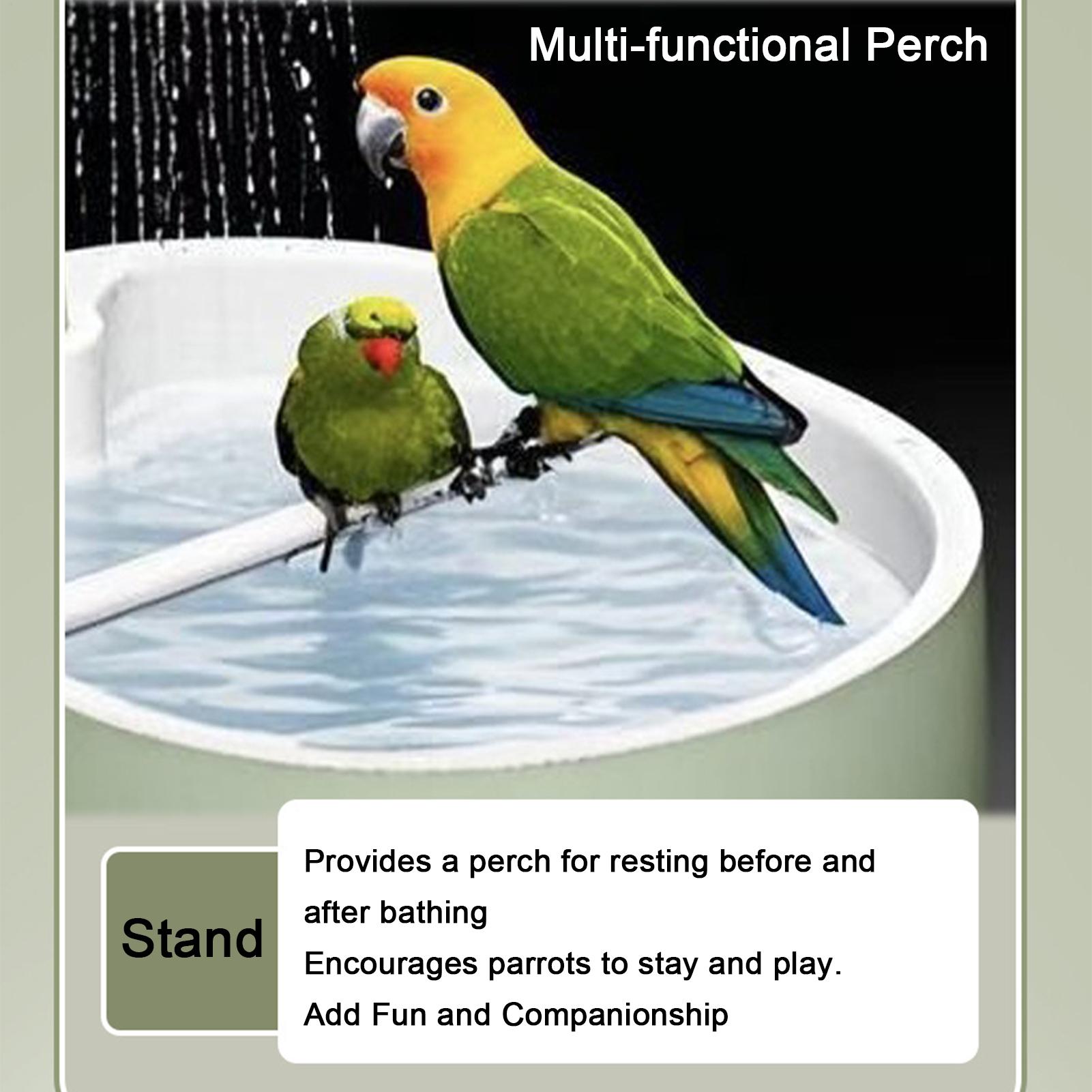 Pet Parrot USB Powered Bathtub - مراجعة Bird Cage Parrot وسعره