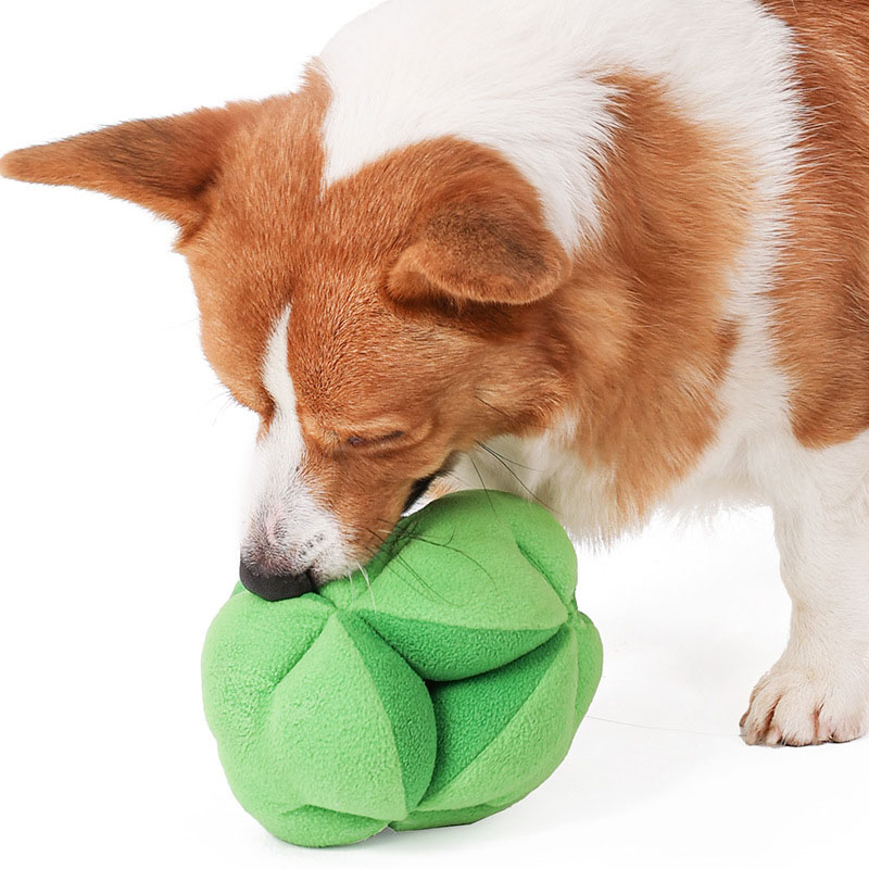 Snuffle Broccoli Dog Puzzle To - مراجعة Dog Treat Puzzle Toy وسعره