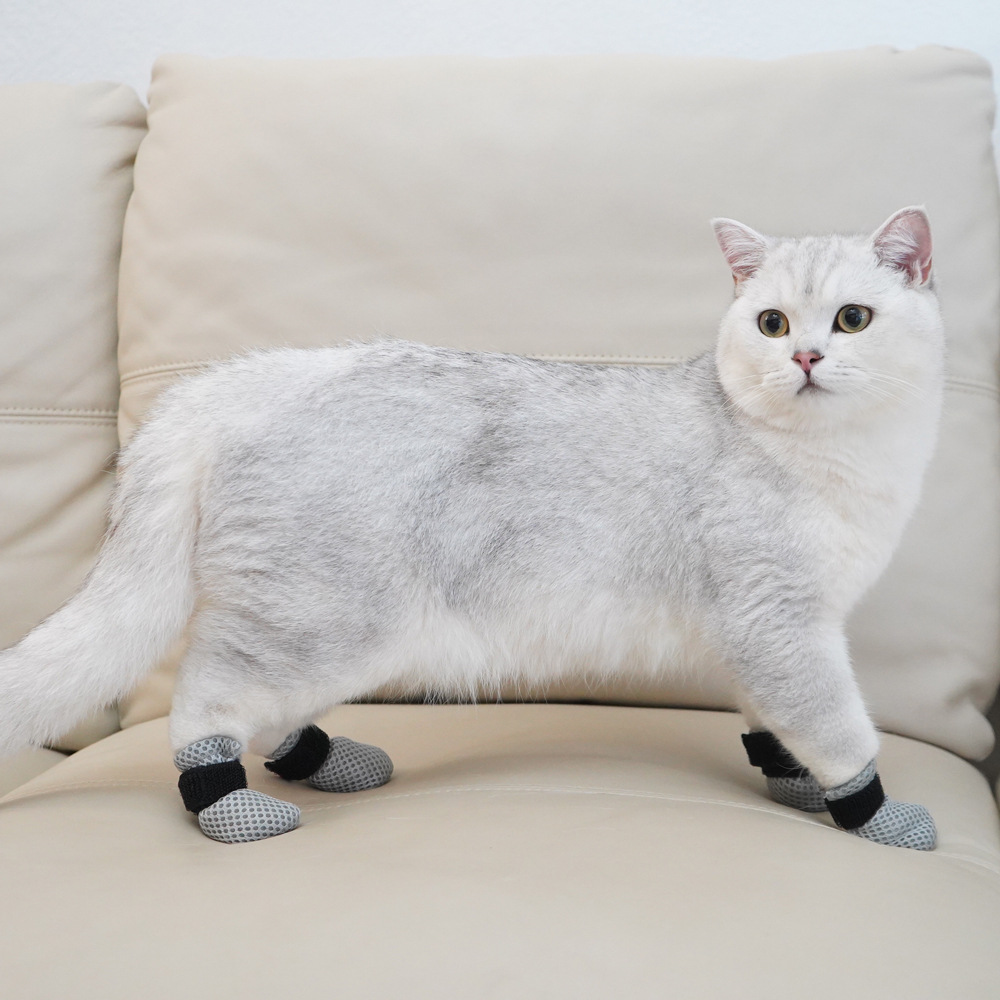 Pet supplies, cat and dog foot - مراجعة Pet Supplies Co وسعره