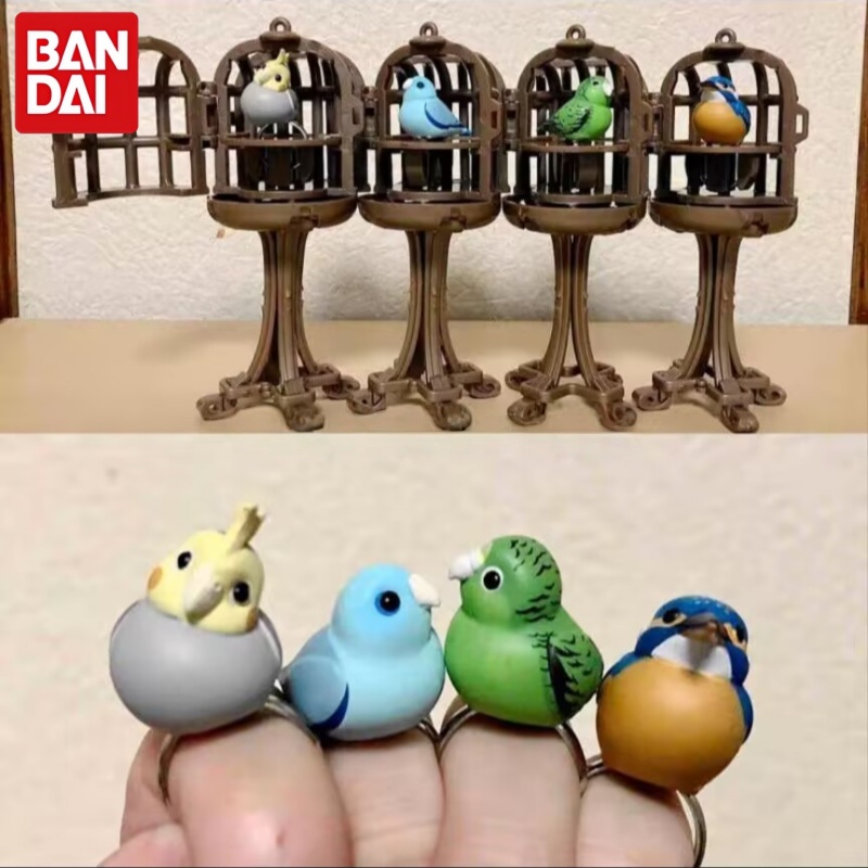 Bandai Bird Ring Parrot Kingfi - مراجعة Bird Cage Parrot وسعره