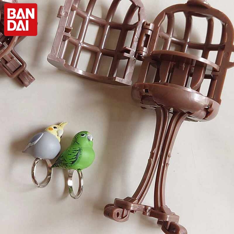 Bandai Bird Ring Parrot Kingfi - مراجعة Bird Cage Parrot وسعره