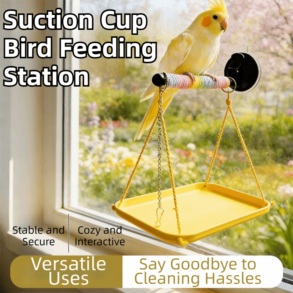 Colorful Bird Swing Hammock In - مراجعة Bird Cage Parrot وسعره