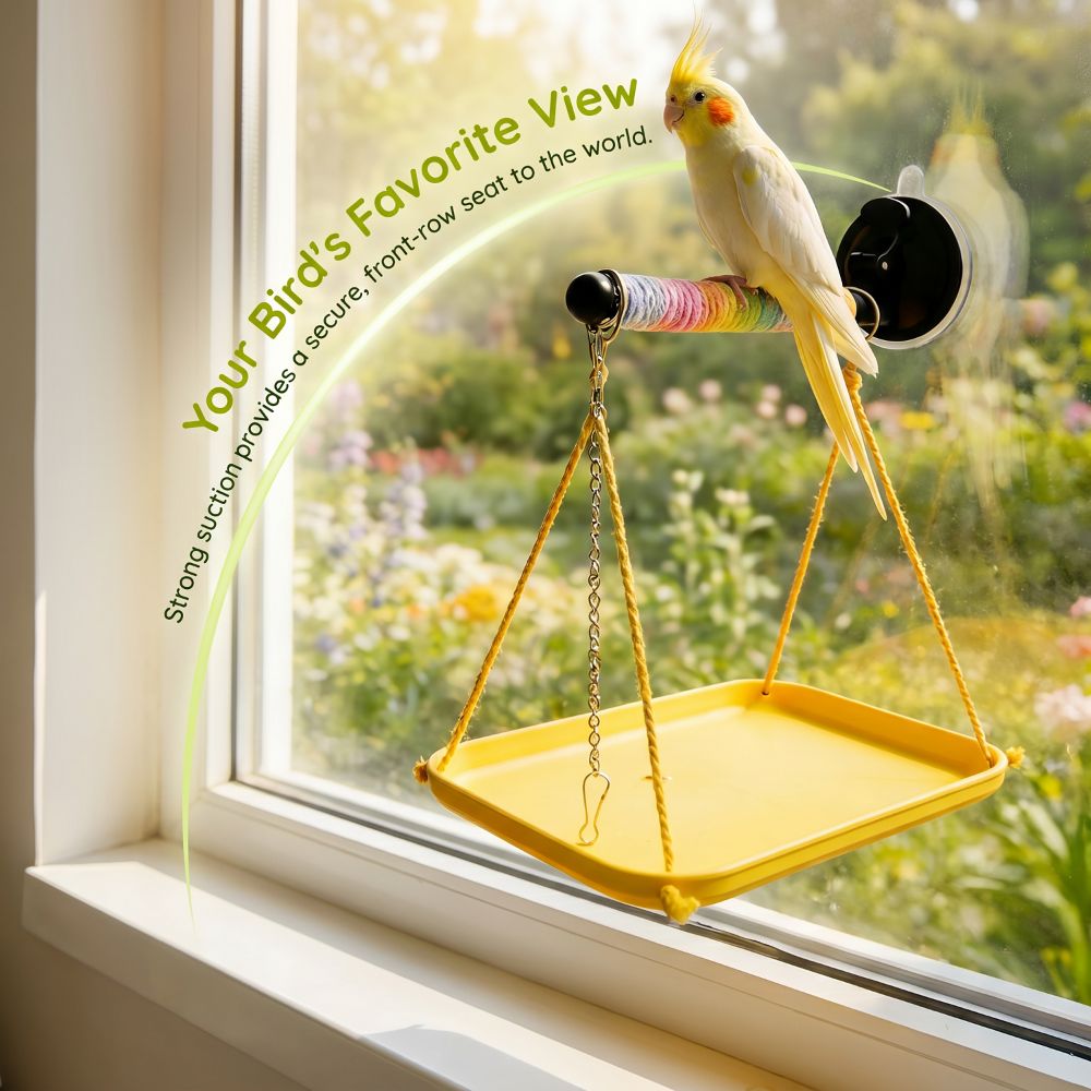Colorful Bird Swing Hammock In - مراجعة Bird Cage Parrot وسعره