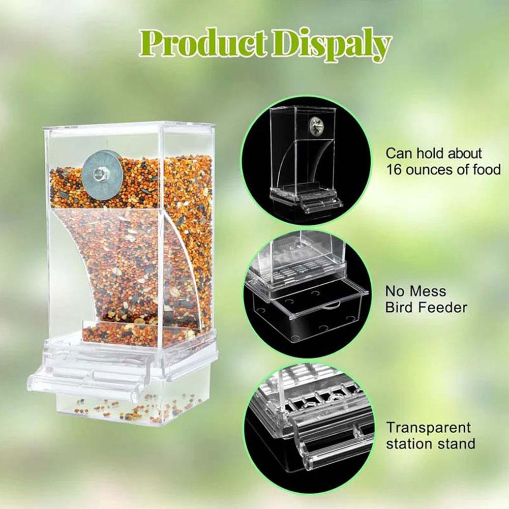 Auto Bird Feeder Cup No Mess B - مراجعة Bird Cage Parrot وسعره
