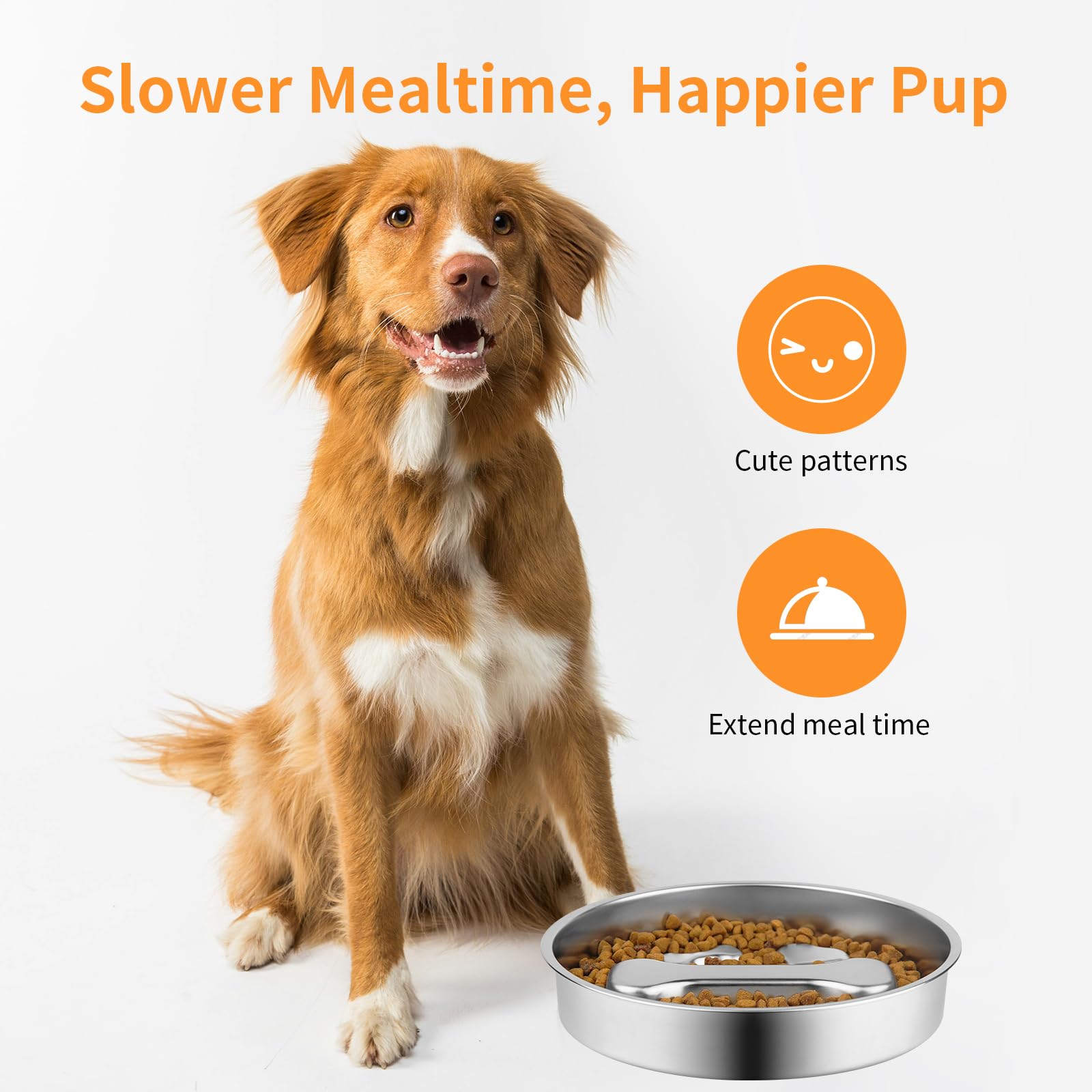 Slow Feeder Dog Bowl, Metal No - مراجعة Dog Treat Puzzle Toy وسعره