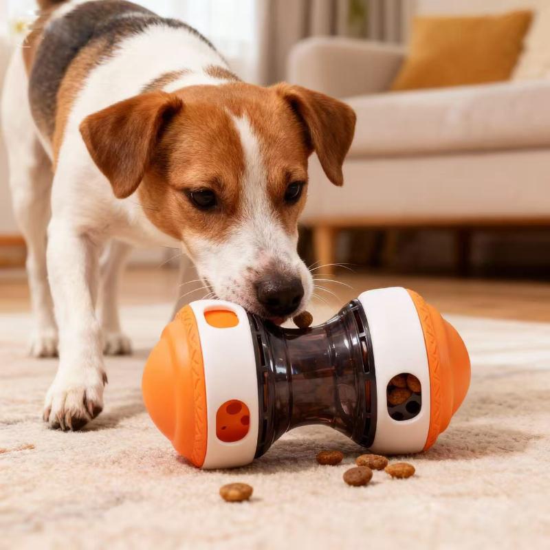 1Pcs Chew Tooth Healthy Ball S - مراجعة Dog Treat Puzzle Toy وسعره