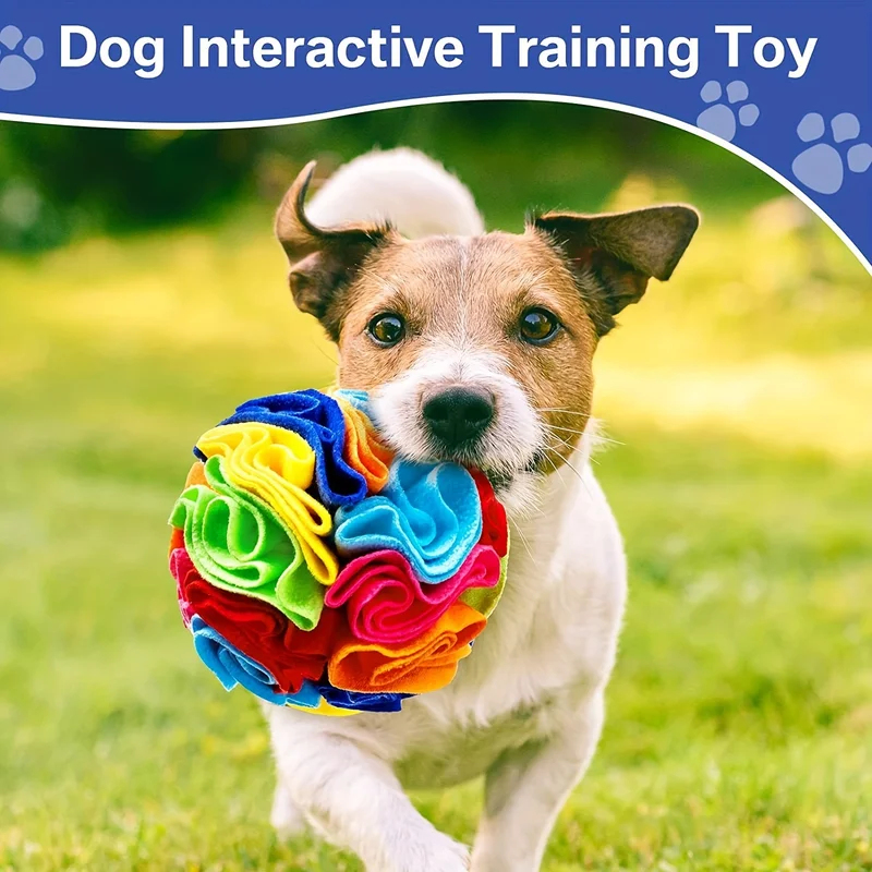 Interactive Dog Toys Snuffle B - مراجعة Dog Treat Puzzle Toy وسعره