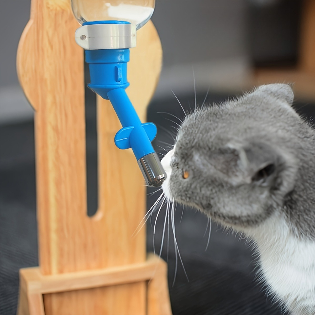 Ball-type Drinking Fountains P - مراجعة Cat Water Fountain Filter وسعره