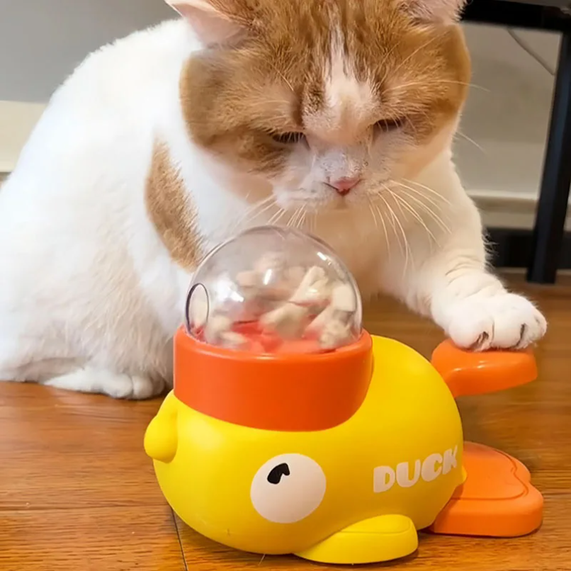 Dog, cat, pet feeder, little y - مراجعة Dog Treat Puzzle Toy وسعره
