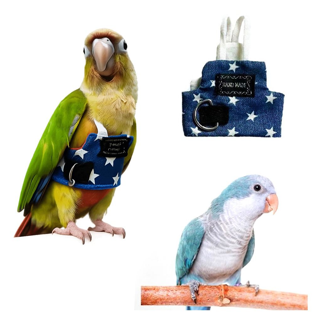 Cowboy Parrot Flying Harness w - مراجعة Bird Cage Parrot وسعره