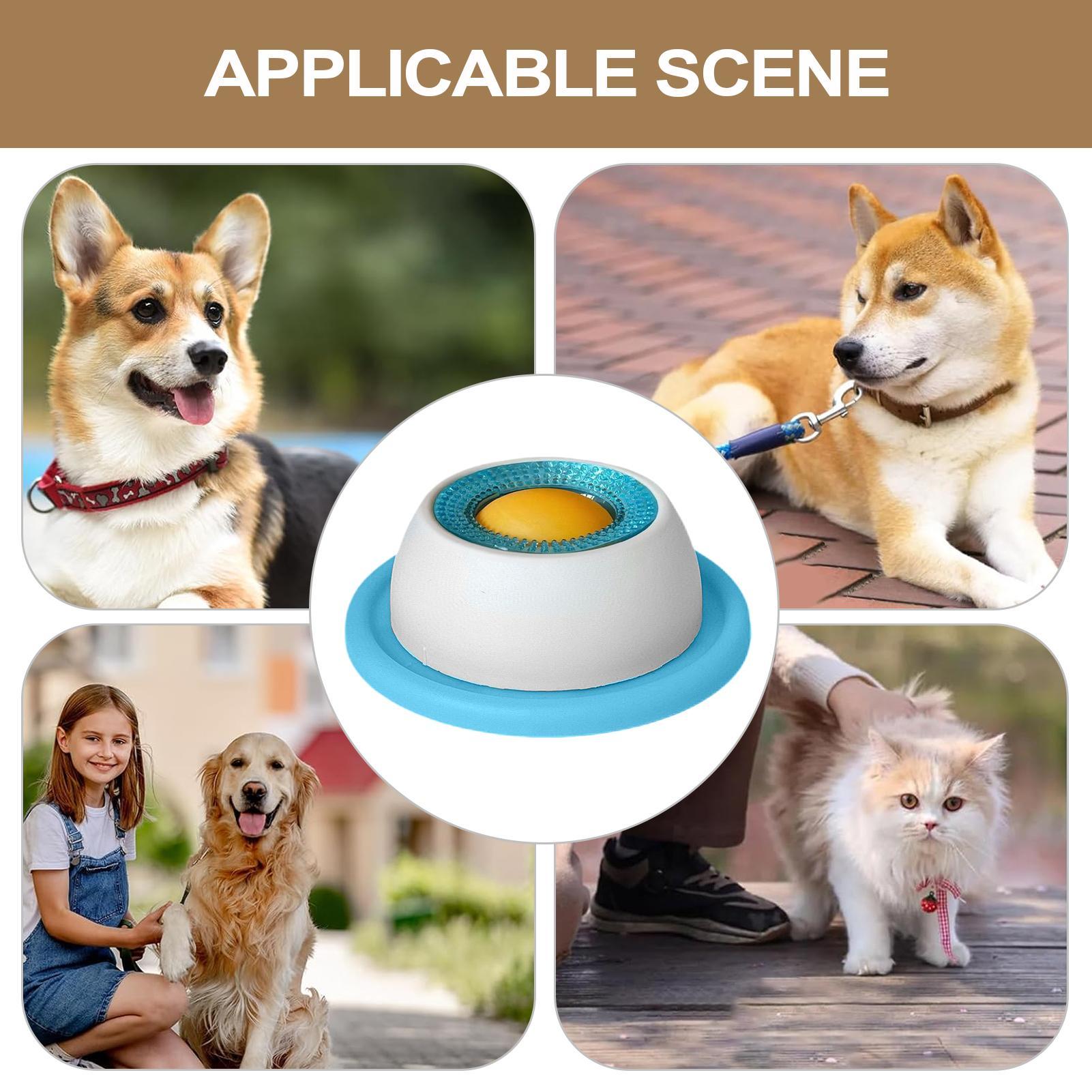 Dog Treat Toy Pet Feeding Acce - مراجعة Dog Treat Puzzle Toy وسعره