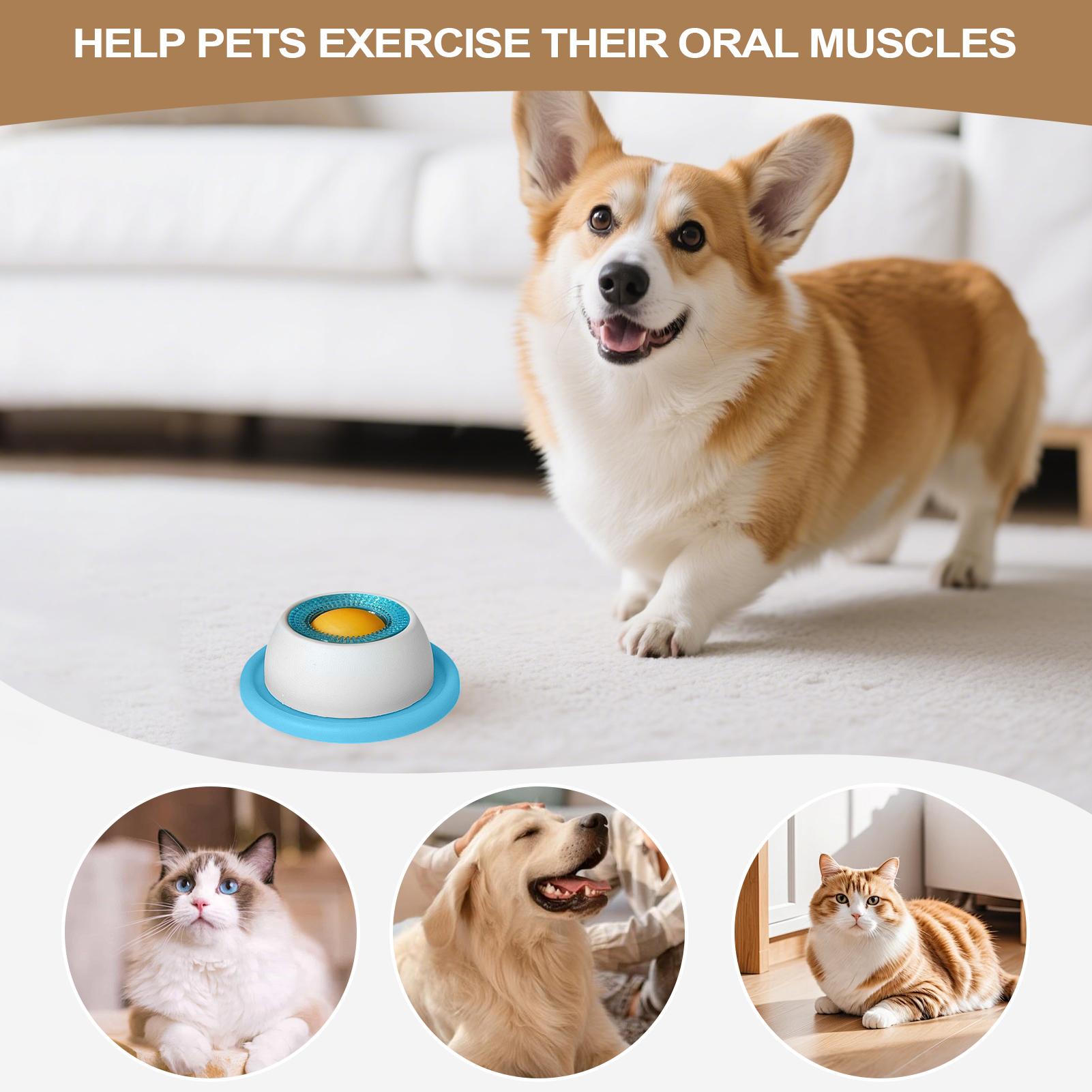 Dog Treat Toy Pet Feeding Acce - مراجعة Dog Treat Puzzle Toy وسعره