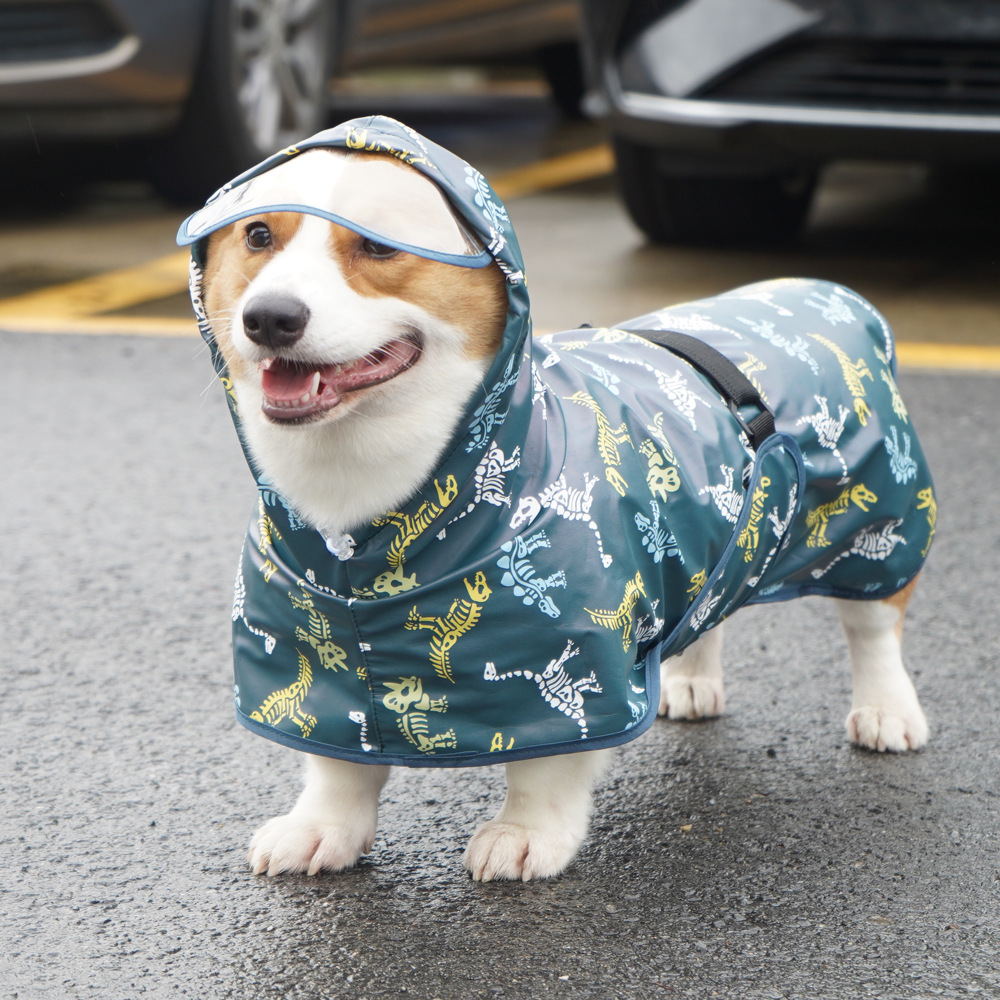Teddy Co Fund Hair Pet Clothes - مراجعة Pet Supplies Co وسعره