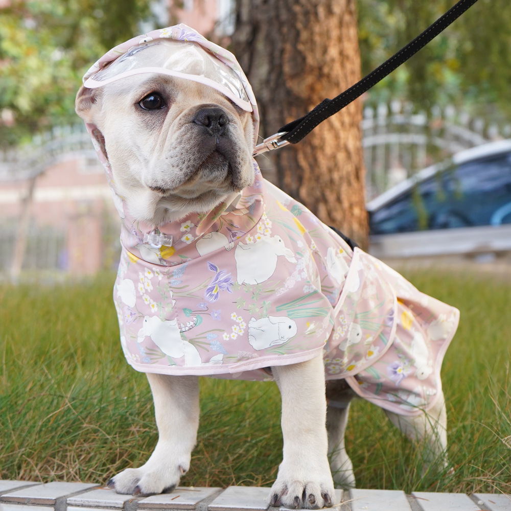 Teddy Co Fund Hair Pet Clothes - مراجعة Pet Supplies Co وسعره