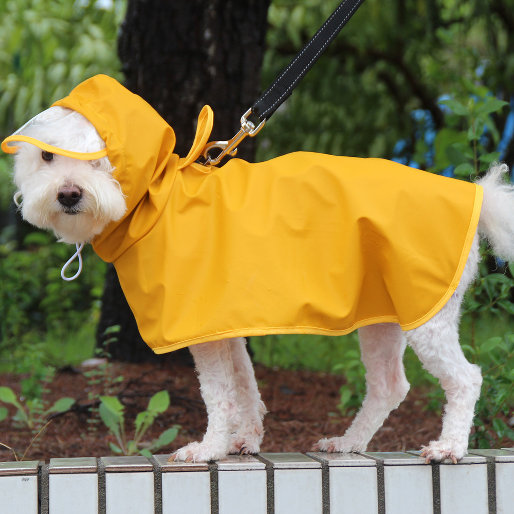 Teddy Co Fund Hair Pet Clothes - مراجعة Pet Supplies Co وسعره