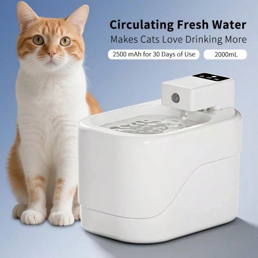 Smart Cat Water Fountain Autom - مراجعة Cat Water Fountain Filter وسعره